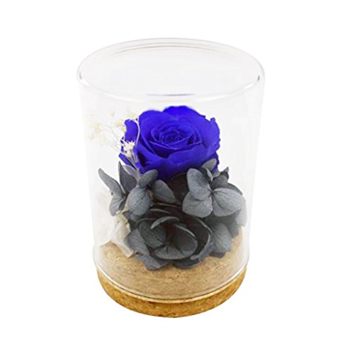 Konservierte Rose in Blau