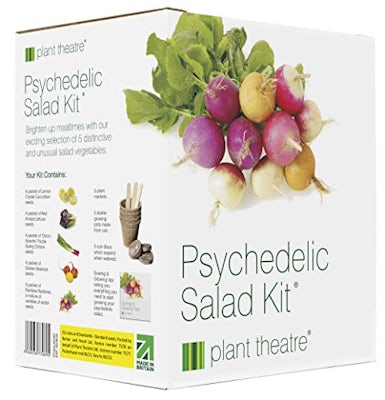 5 fantastische Salatsorten zum Züchten – Kit Psychedelischer Salat von Plant Theatre