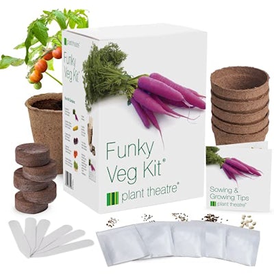 Flippiges Gemüse-Kit - 5 außergewöhnliche Gemüse zum Selbstzüchten